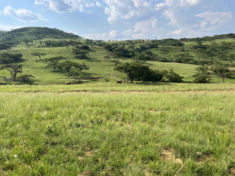 0 Bedroom Property for Sale in Harrismith Free State